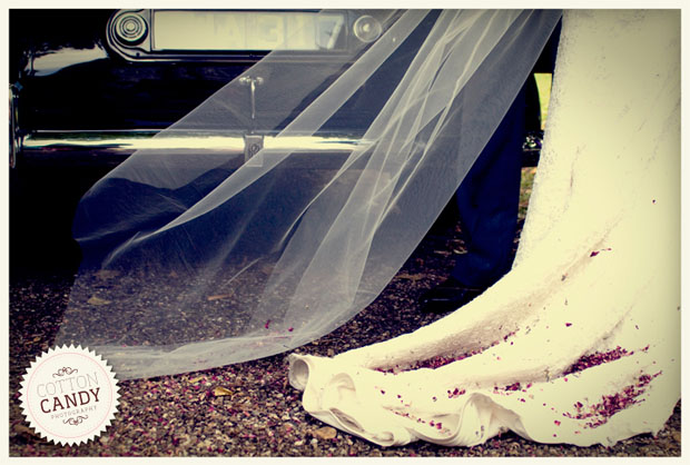 Wedding Photographer, photography, Wedding Photography, Vintage Wedding Photography, Wedding Photobooths, Photobooths, Cotton Candy Photography (8) Wedding Photographer, photography, Wedding Photography, Vintage Wedding Photography, Wedding Photobooths, Photobooths, Cotton Candy Photography (8)