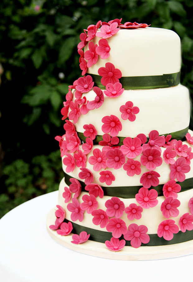 wedding cake, cakes by beth, pink flowers, round, 3 tier, black ribbon wedding cake, cakes by beth, pink flowers, round, 3 tier, black ribbon