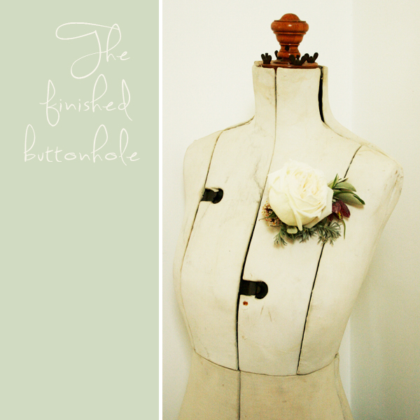 DIY, Crafts, How-to, Tutorial, Rose Buttonhole, Make your own Wedding Flowers. Wedding Flowers, Make your own Buttonhole, Herb and Rose Buttonhole, Wedding Flowers (5) DIY, Crafts, How-to, Tutorial, Rose Buttonhole, Make your own Wedding Flowers. Wedding Flowers, Make your own Buttonhole, Herb and Rose Buttonhole, Wedding Flowers (5)