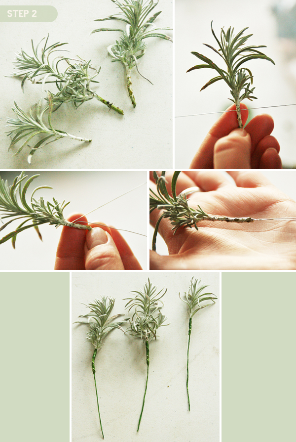 DIY, Crafts, How-to, Tutorial, Rose Buttonhole, Make your own Wedding Flowers. Wedding Flowers, Make your own Buttonhole, Herb and Rose Buttonhole, Wedding Flowers (2) DIY, Crafts, How-to, Tutorial, Rose Buttonhole, Make your own Wedding Flowers. Wedding Flowers, Make your own Buttonhole, Herb and Rose Buttonhole, Wedding Flowers (2)