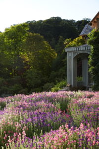 hotel endsleigh weddings, devon wedding, devon wedding planner, luxury weddings, Olga Polizzi, Alex Polizzi, Forte Hotels