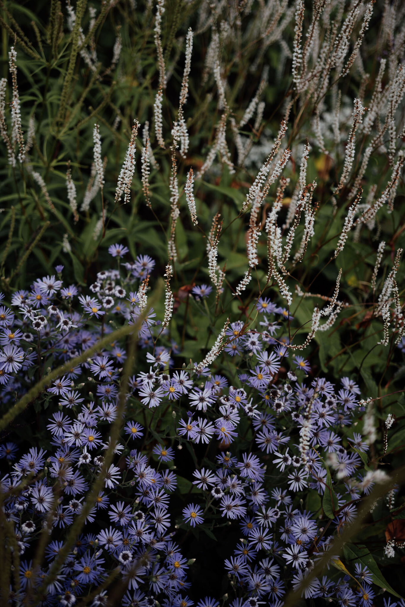 Heckfield Place, Luxury Event, Pocketful of dreams, Event Styling, Greek Lunch, Fredrik Ferrier, Tablescape, Outdoor Summer Party, Matt Porteous, Kitten Grayson, Skye Gyngell