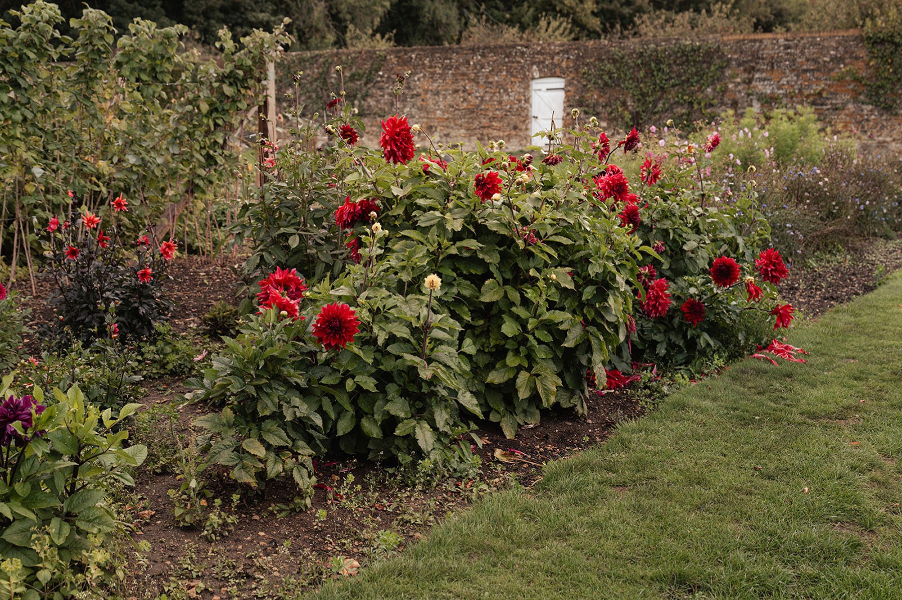 Wedding Planner, Behind the Scenes, Life of a Wedding Planner, Cotswolds Wedding Planner, Cornwell Manor, Dos Mas En Le Masa