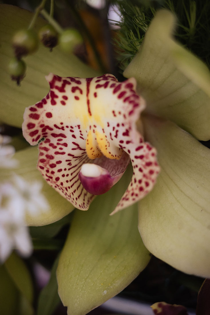 Cotswolds rehearsal dinner, Cotswolds wedding weekend, Cornwell Manor wedding, Cotswolds Destination Wedding, wedding rehearsal dinner, alfresco wedding dinner, asado wedding catering, Salsa Rose, Pocketful of Dreams, Cornwell Manor planner, Luxury Wedding Planner, Cotswolds Wedding Planner, Dos Mas En La Mesa, Swallows and Damsons