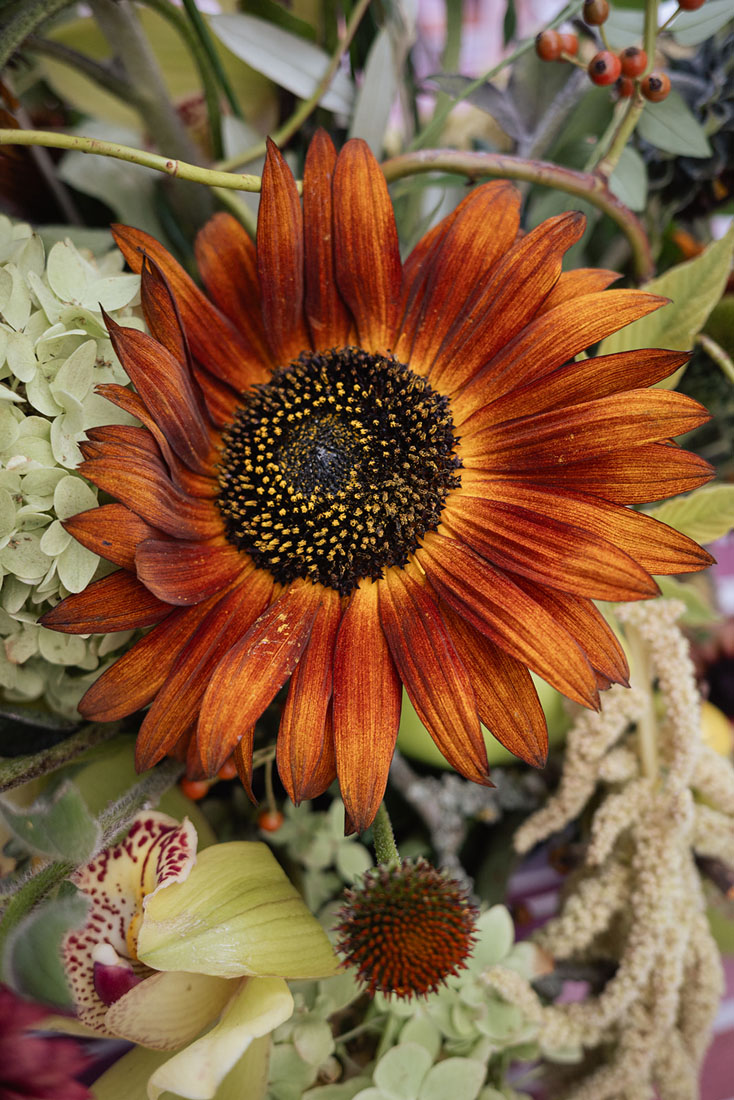 Cotswolds rehearsal dinner, Cotswolds wedding weekend, Cornwell Manor wedding, Cotswolds Destination Wedding, wedding rehearsal dinner, alfresco wedding dinner, asado wedding catering, Salsa Rose, Pocketful of Dreams, Cornwell Manor planner, Luxury Wedding Planner, Cotswolds Wedding Planner, Dos Mas En La Mesa, Swallows and Damsons