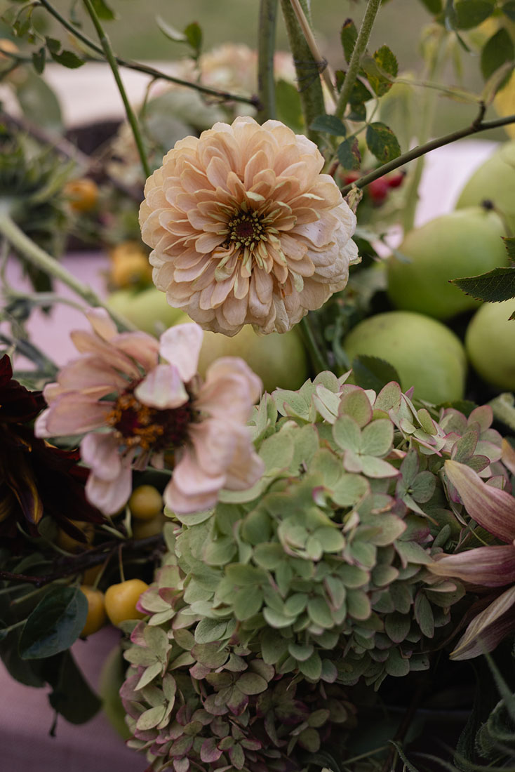 Cotswolds rehearsal dinner, Cotswolds wedding weekend, Cornwell Manor wedding, Cotswolds Destination Wedding, wedding rehearsal dinner, alfresco wedding dinner, asado wedding catering, Salsa Rose, Pocketful of Dreams, Cornwell Manor planner, Luxury Wedding Planner, Cotswolds Wedding Planner, Dos Mas En La Mesa, Swallows and Damsons