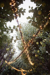 Cotswolds rehearsal dinner, Cotswolds wedding weekend, Cornwell Manor wedding, Cotswolds Destination Wedding, wedding rehearsal dinner, alfresco wedding dinner, asado wedding catering, Salsa Rose, Pocketful of Dreams, Cornwell Manor planner, Luxury Wedding Planner, Cotswolds Wedding Planner, Dos Mas En La Mesa, Swallows and Damsons