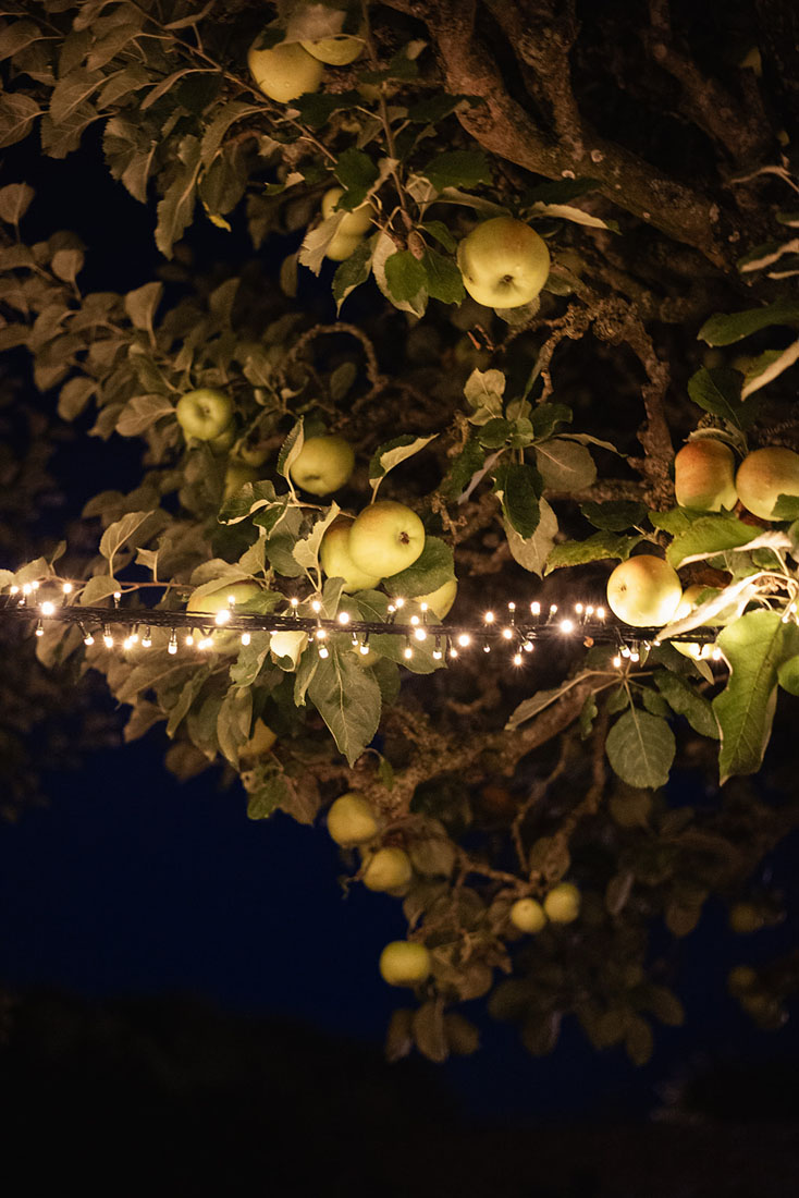 Cotswolds rehearsal dinner, Cotswolds wedding weekend, Cornwell Manor wedding, Cotswolds Destination Wedding, wedding rehearsal dinner, alfresco wedding dinner, asado wedding catering, Salsa Rose, Pocketful of Dreams, Cornwell Manor planner, Luxury Wedding Planner, Cotswolds Wedding Planner, Dos Mas En La Mesa, Swallows and Damsons